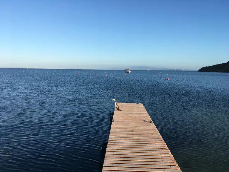 Pontile sul mare nel paesaggio del Sinis