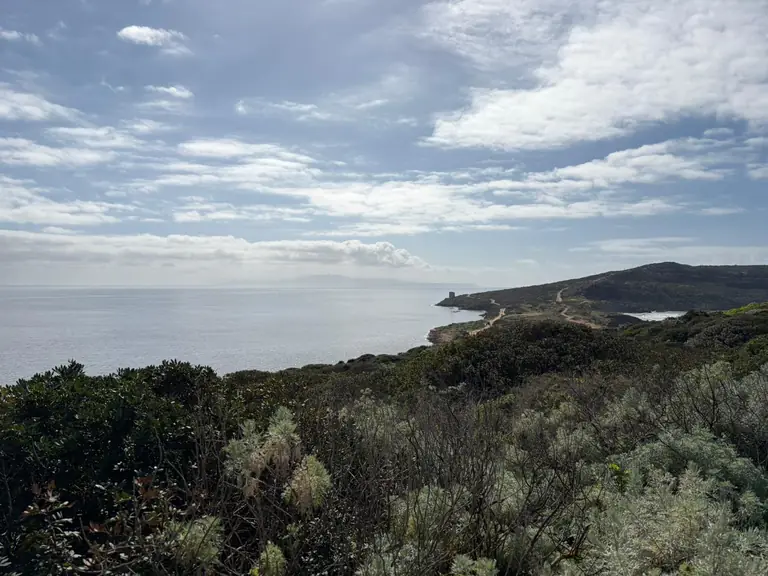 Panorama costiero del Sinis tra mare e macchia mediterranea
