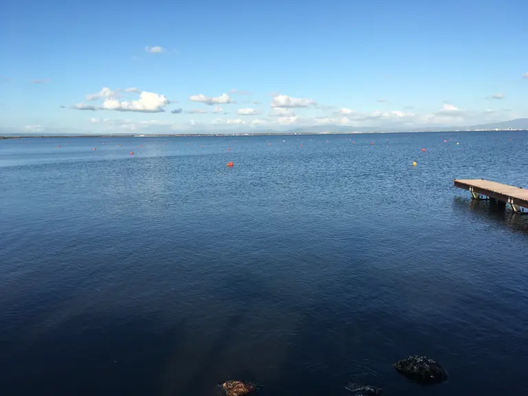 Pontile sul mare nel paesaggio del Sinis